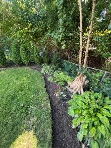 Student Looking to Help With Fall Yardwork - Photo 3