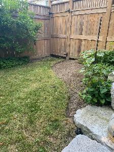 Student Looking to Help With Fall Yardwork - Photo 5