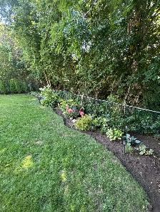 Student Looking to Help With Fall Yardwork - Photo 8