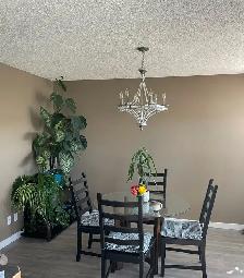 3 Bed 2.5 Bath Detached house  to rent in Royal oak NW - Photo 3