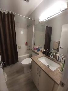 Basement Suite for Rent in Allard (Edmonton SW) - Photo 6