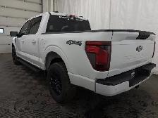 2026 Ford F-150 - Photo 14
