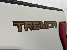 2023 Ford F-150 TREMOR 402A 3.5L | LEATHER | SUNROOF | B&O SOUND - Photo 10