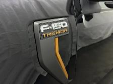 2024 Ford F-150 402A 3.5 4X4 | TWIN PANEL ROOF | B&O SOUND - Photo 10