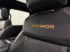 2024 Ford F-150 402A 3.5 4X4 | TWIN PANEL ROOF | B&O SOUND - Photo 24