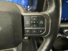 2024 Ford F-150 402A 3.5 4X4 | TWIN PANEL ROOF | B&O SOUND - Photo 33