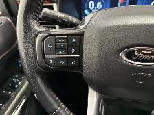2022 Ford Expedition TIMBERLINE 7-PASSENGER | CYPRESS LEATHER - Photo 28