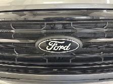 2024 Ford F-150 XLT 303A BLACK APPEARANCE | LEATHER | SUNROOF - Photo 6