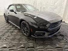2026 Ford Mustang - Photo 7