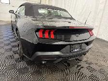 2026 Ford Mustang - Photo 11
