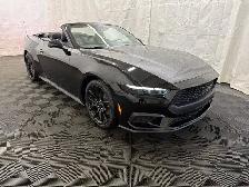 2026 Ford Mustang - Photo 35