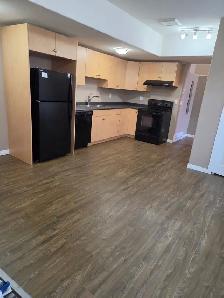 Clean Basement Suite in Stonebridge - Photo 2