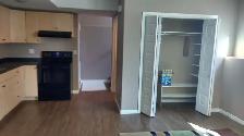 Clean Basement Suite in Stonebridge - Photo 4