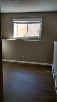 Clean Basement Suite in Stonebridge - Photo 7