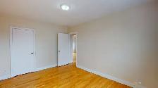 Spacious 2 Bedroom Apartment | Downtown Ottawa | Jan 1st 2027 - Photo 4
