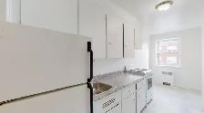 Spacious 2 Bedroom Apartment | Downtown Ottawa | Jan 1st 2027 - Photo 9