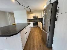 Spacious Main Floor of House Garage, Fenced Yard in Lacombe! - Photo 3