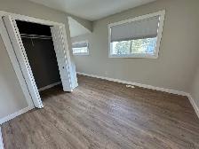 Spacious Main Floor of House Garage, Fenced Yard in Lacombe! - Photo 13