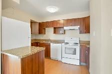 2 Bedroom Unit Available with Elevator in Building. - Photo 4