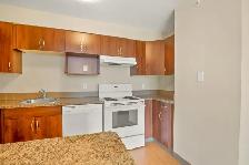 2 Bedroom Unit Available with Elevator in Building. - Photo 5