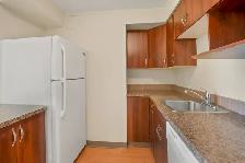 2 Bedroom Unit Available with Elevator in Building. - Photo 6
