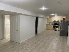 Basement Apartment - Photo 3
