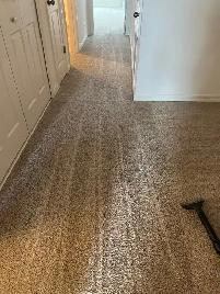 house carpet shampoo cleaning 100$ - Photo 4
