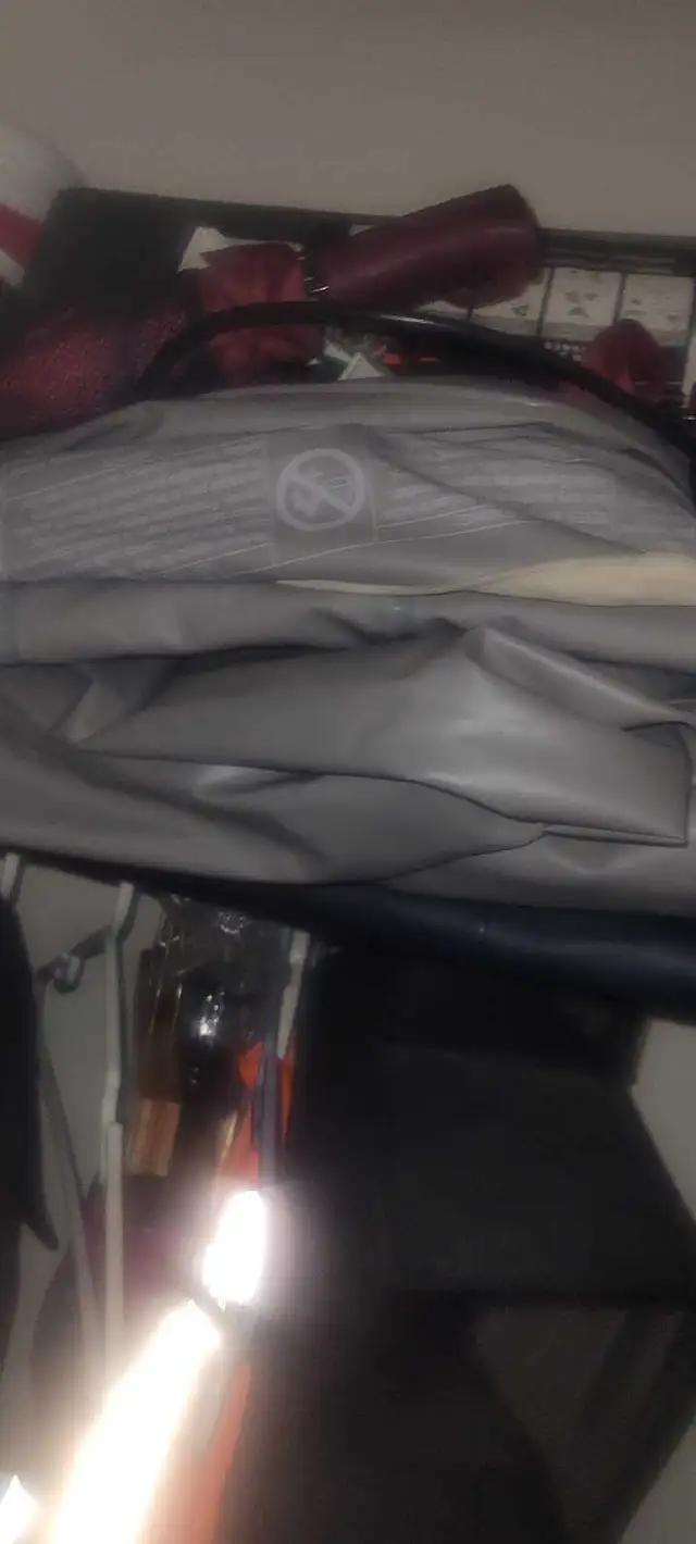 2 single air mattresses and 2 pumps