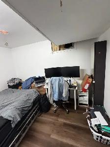 Basement room available for rent starting Nov 1, 2026 - Photo 2