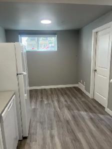 One Bedroom Basement Unit - Photo 8