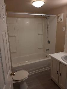 1-Bedroom Country Apartment - $1,200/Month Refreshed and cozy - Photo 7