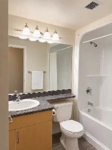 Short Term Rental - HOUSE. Downtown Condominium - Photo 4