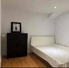 Furnished 1 bdrm   den basement apt East York, Woodbine/Danforth - Photo 8