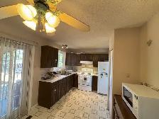 Cross Road UoL Female House/Room Furnished Utility Internet inc - Photo 2