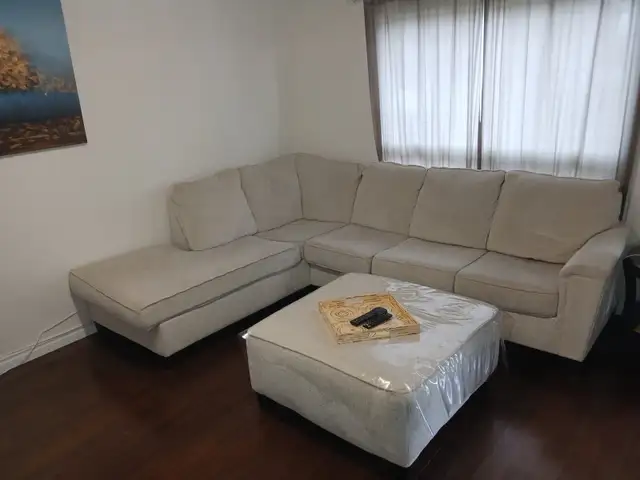 Couch (move out sale)