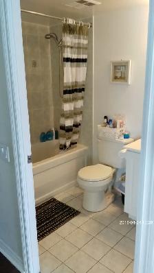 Luxury 2 Bedroom/2 Bath at Town Centre Condo for Rent - Photo 6