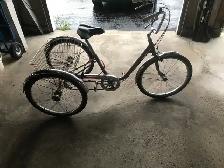 Trike for sale - Photo 2