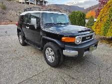2010 Toyota FJ Cruiser - Photo 3