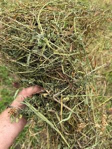 Hay For Sale - Photo 2