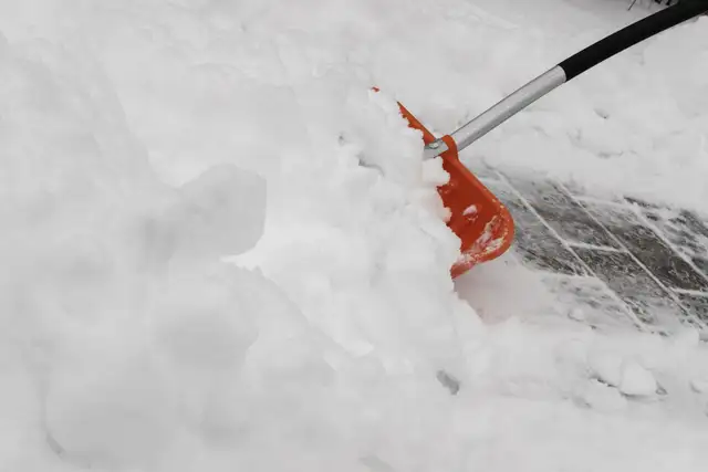 Snow Removal Services