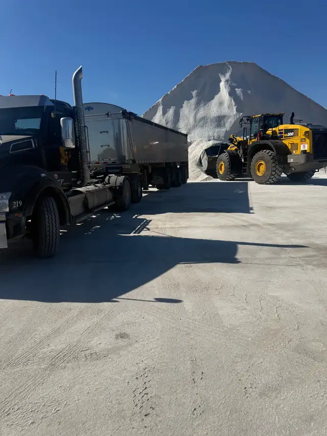 bulk salt in the gta