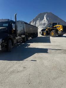 bulk salt in the gta