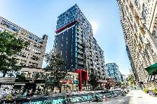 One Bedroom   Den Fully Furnished Downtown Condo