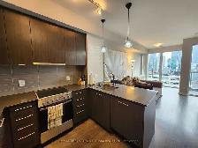 One Bedroom   Den Fully Furnished Downtown Condo - Photo 4