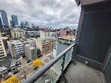 One Bedroom   Den Fully Furnished Downtown Condo - Photo 10