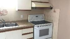 Bright & spacious lower unit for rent in Scarborough - Photo 2
