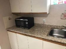 Bright & spacious lower unit for rent in Scarborough - Photo 3