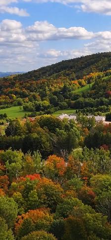 Ski Season Rental beside Osler Bluffs & Blue Mountain - Photo 2
