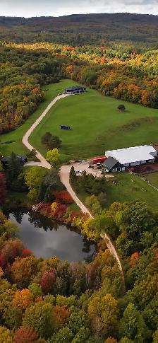 Ski Season Rental beside Osler Bluffs & Blue Mountain - Photo 5