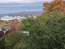 COURT TERME,MEUBLÉ,VUE SUR LE FLEUVE  & VILLE DE QUÉBEC - Photo 10